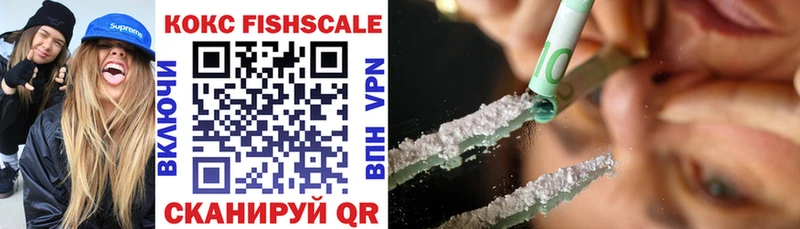купить наркотики цена  Черкесск  shop какой сайт  Кокаин FishScale  гидра  