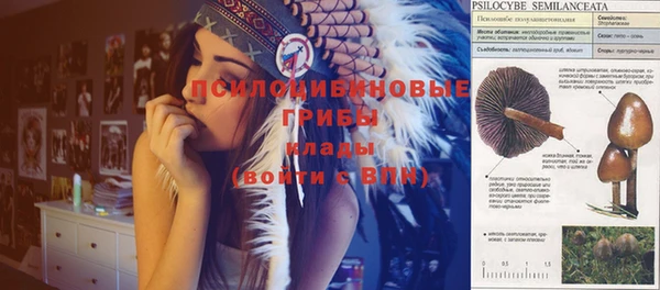 прущий лед Алексеевка