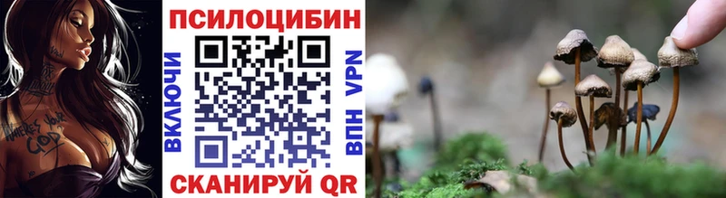 сколько стоит  Черкесск  Галлюциногенные грибы ЛСД 