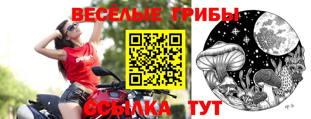 Псилоцибиновые грибы мицелий Черкесск