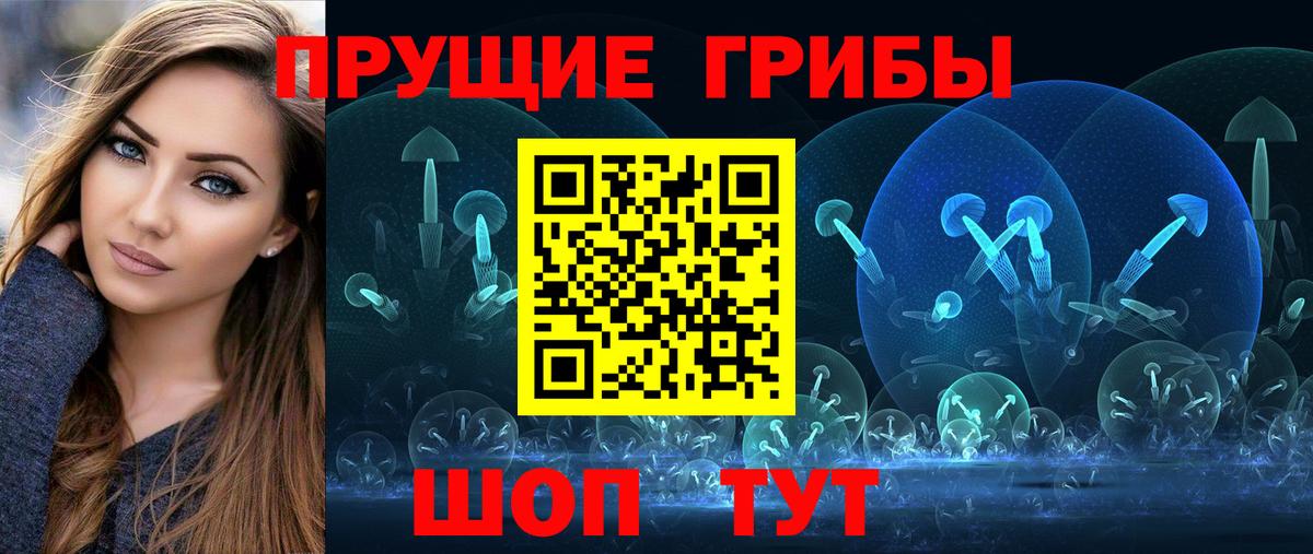 Черкесск  Псилоцибиновые грибы Psilocybine cubensis  Вход с VPN 