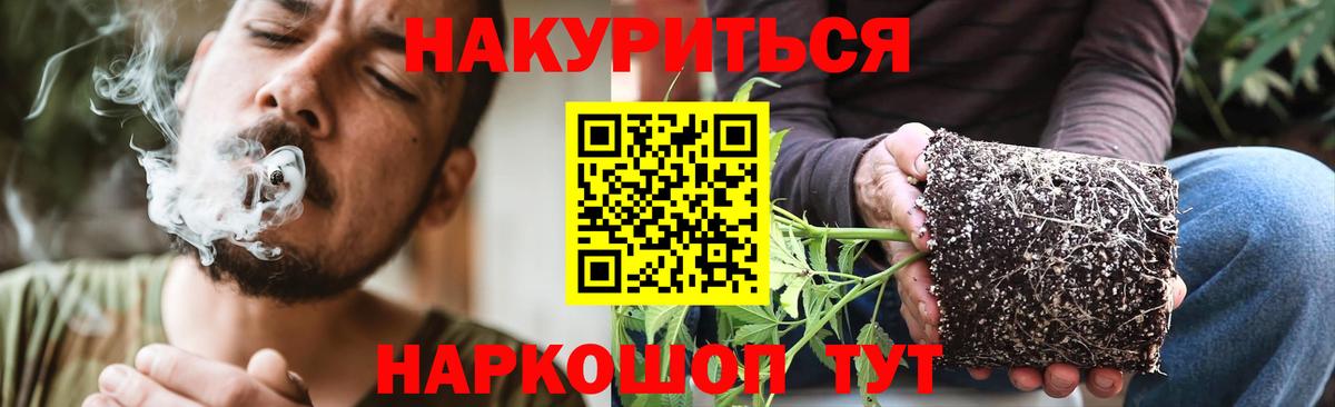 Каннабис планчик Черкесск